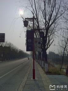 吃瓜楼楼,网络红人的崛起与影响力