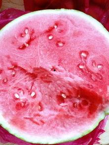 喜欢吃无籽瓜,探寻瓜界新宠的美食之旅