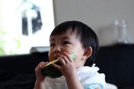 女孩发吃瓜怎么回,揭秘女孩“吃瓜”背后的社交心理