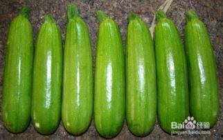 吃籽瓜治疗便秘,天然便秘克星，轻松改善肠道健康