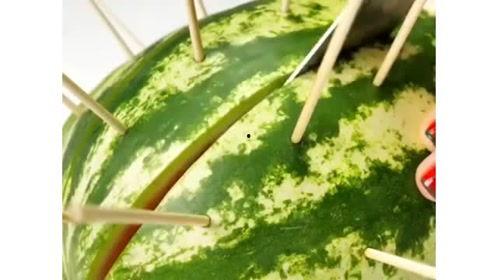 绅士花园吃瓜,瓜香四溢，品味非凡的休闲时光