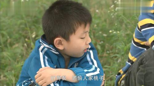 乡里彩虹城里雨吃瓜,一场别开生面的吃瓜盛宴