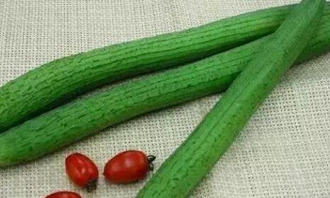 顺治吃八爪瓜,一段宫廷秘史