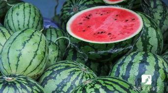 二条吃瓜,揭秘娱乐圈背后的那些事儿