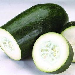 吃臭皮瓜有什么吃,一场味蕾的冒险之旅