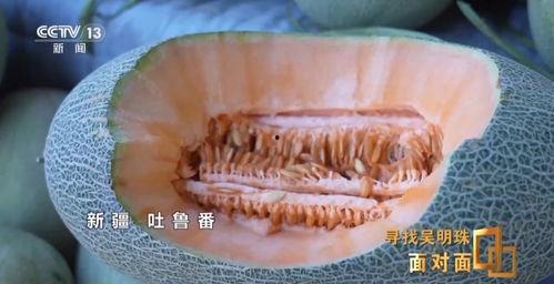 西藏吃瓜,探寻高原上的“吃瓜”文化