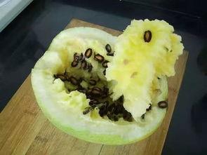 籽瓜热着吃吗,热食新体验