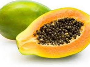 吃瓜的籽可以吃吗,揭秘能否食用及营养价值