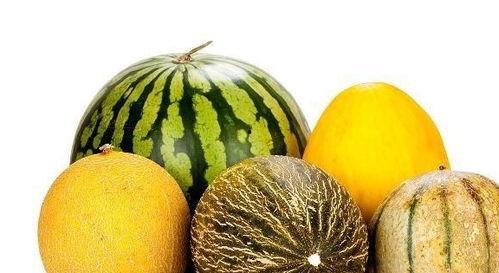 偶尔吃瓜,品味生活百态