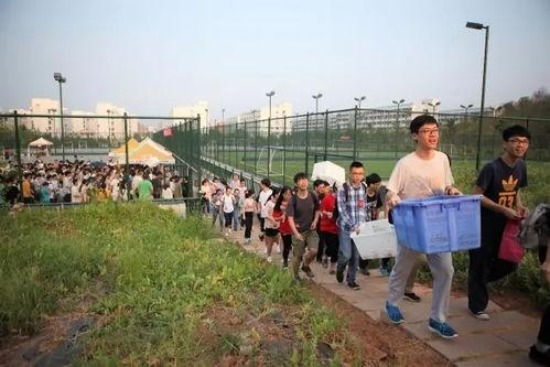 南阳师范体院吃瓜,一场校园“吃瓜”事件的背后真相