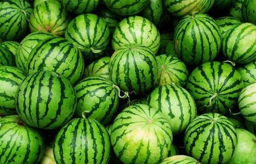 四妹吃瓜,揭秘娱乐圈幕后故事