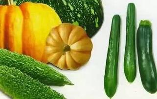 entp吃瓜,揭秘网络热点的独特见解