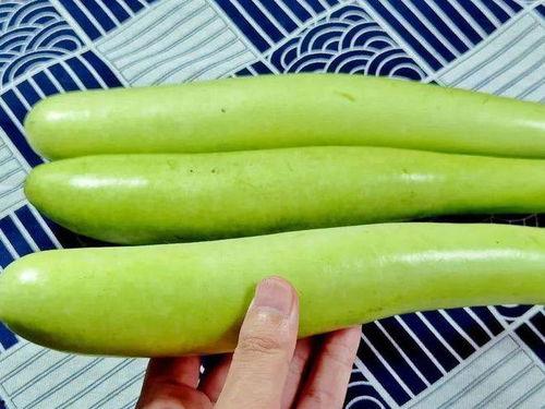 吃瓠子瓜要去皮吗,食用前的必要步骤揭秘