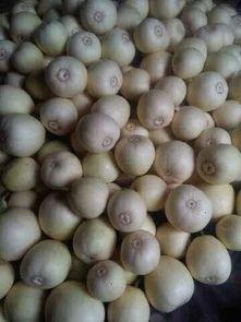 邢台同城吃瓜,揭秘本地热门事件背后的真相