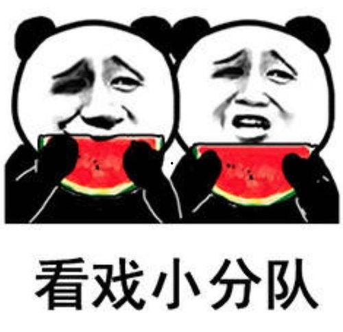 吃瓜太婆,民间智慧的传承与趣味